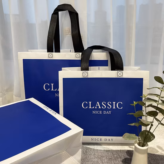 Logotipo personalizado al por mayor, nuevo diseño de moda, bolso de mano de embalaje para compras, bolso no tejido reutilizable Eco PP personalizado